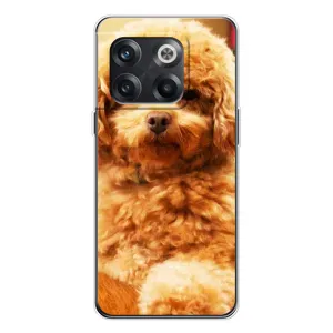 Чехлы с собаками для OnePlus 13s (VPrint) (Щенок Бишон)