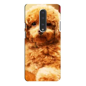 Чохли з собаками для OnePlus 7 Pro (VPrint) (Цуценя Бішон)