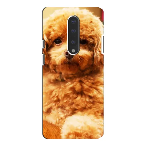 Чохол з принтом «Цуценя Бішон» для OnePlus 7 Pro Чохол з принтом «Цуценя Бішон» для OnePlus 7 Pro