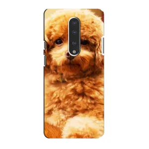 Чохли з собаками для OnePlus 7 (VPrint) (Цуценя Бішон)
