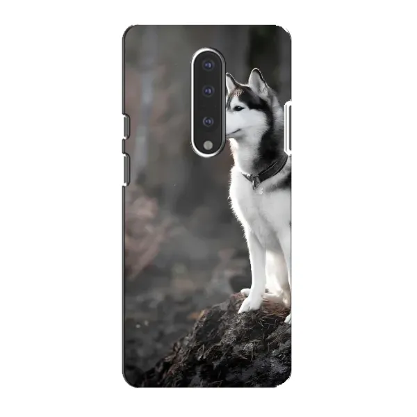 Чохол з принтом «Вірний собака» для OnePlus 7 Чохол з принтом «Вірний собака» для OnePlus 7