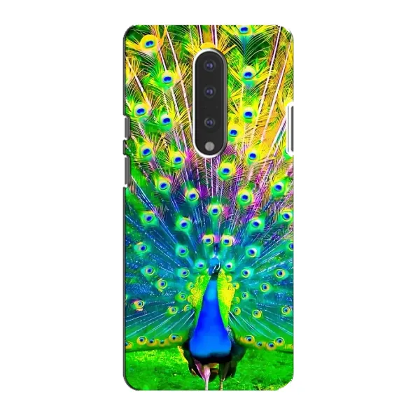 Чехол с принтом «Яркий Павлин» для OnePlus 7 Чехол с принтом «Яркий Павлин» для OnePlus 7