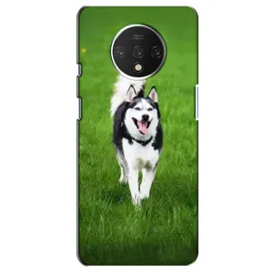 Чехол с Хаски для OnePlus 7T - (AlphaPrint) (Радостный Хаски)