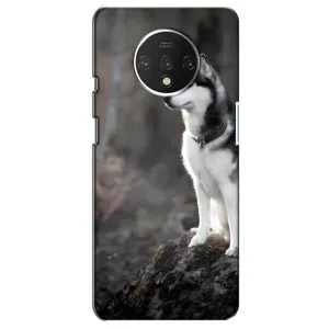 Чехол с Хаски для OnePlus 7T - (AlphaPrint) (Верный пес)