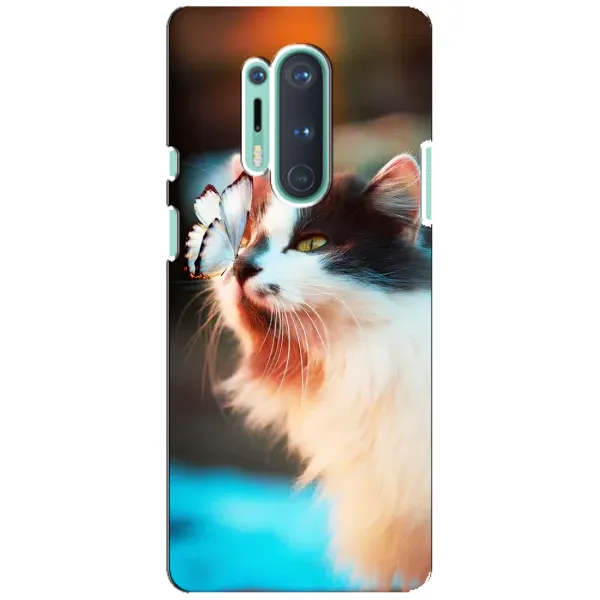 Чохол з принтом «Котик з метеликом» для OnePlus 8 Pro