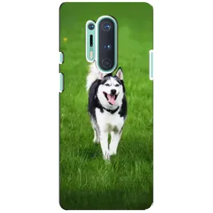 Чохол з Хаскі OnePlus 8 Pro - (AlphaPrint) (Радісний Хаскі)