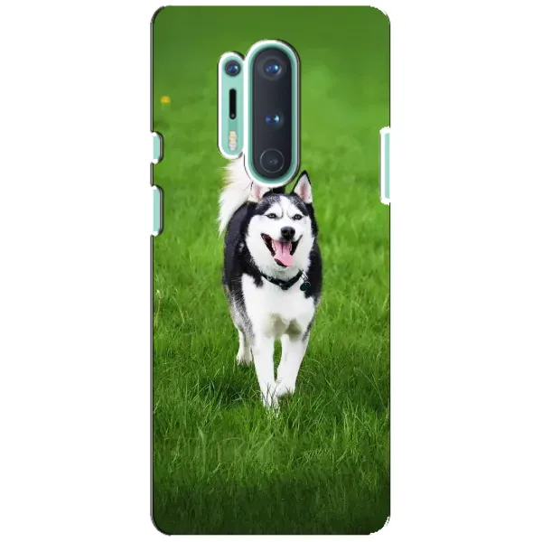 Чохол з принтом «Радісний Хаскі» для OnePlus 8 Pro