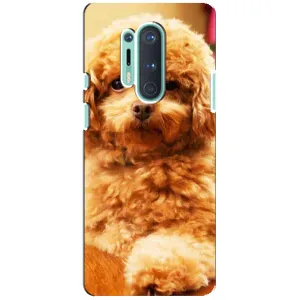 Чохли з собаками для OnePlus 8 Pro (VPrint) (Цуценя Бішон)