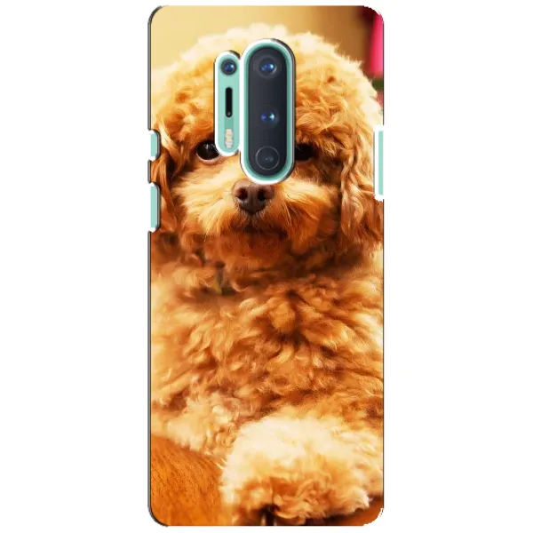 Чохол з принтом «Цуценя Бішон» для OnePlus 8 Pro Чохол з принтом «Цуценя Бішон» для OnePlus 8 Pro