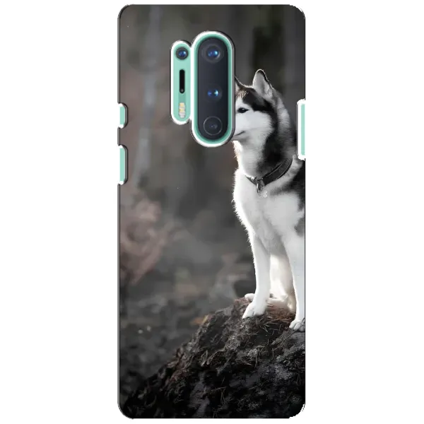 Чохол з принтом «Вірний собака» для OnePlus 8 Pro