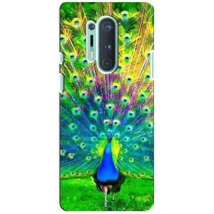 Чохол з пташками на OnePlus 8 Pro (VPrint) (Яскравий Павлин)