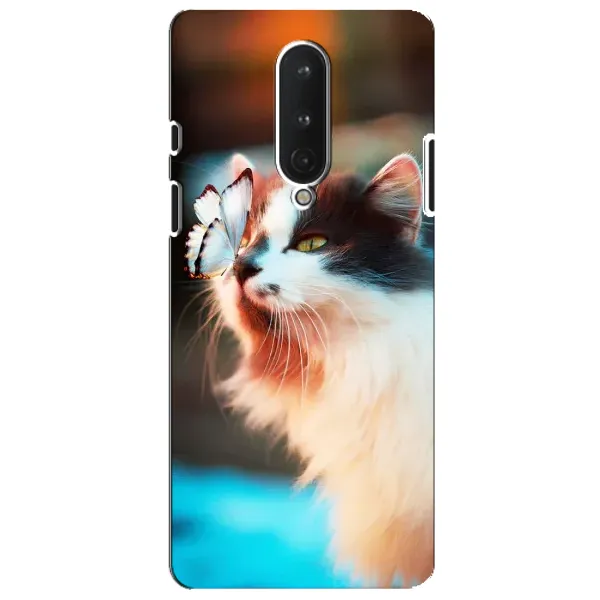 Чохол з принтом «Котик з метеликом» для OnePlus 8