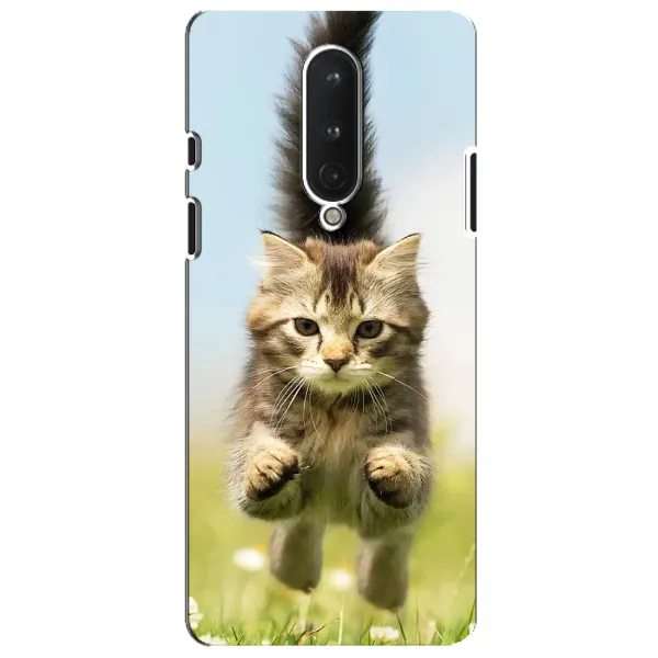 Чохол з принтом «Прижок кота» для OnePlus 8