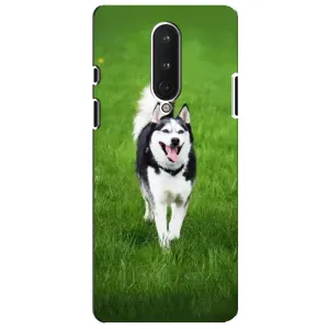 Чехол с Хаски для OnePlus 8 - (AlphaPrint) (Радостный Хаски)