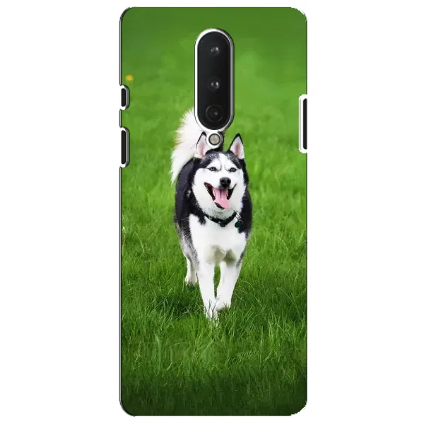 Чехол с принтом «Радостный Хаски» для OnePlus 8