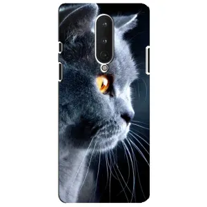Чохли з Котиками для OnePlus 8 (VPrint) (Сірий Кіт)