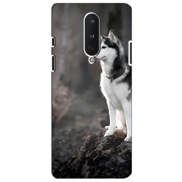 Чехол с принтом «Верный пес» для OnePlus 8