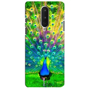 Чехол с птицами на OnePlus 8 (VPrint) (Яркий Павлин)