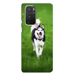 Чохол з Хаскі OnePlus 9 Pro - (AlphaPrint) (Радісний Хаскі)