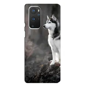 Чохол з Хаскі OnePlus 9 Pro - (AlphaPrint) (Вірний собака)