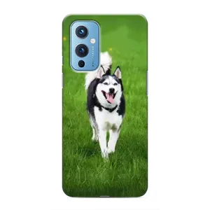 Чохол з Хаскі OnePlus 9 - (AlphaPrint) (Радісний Хаскі)