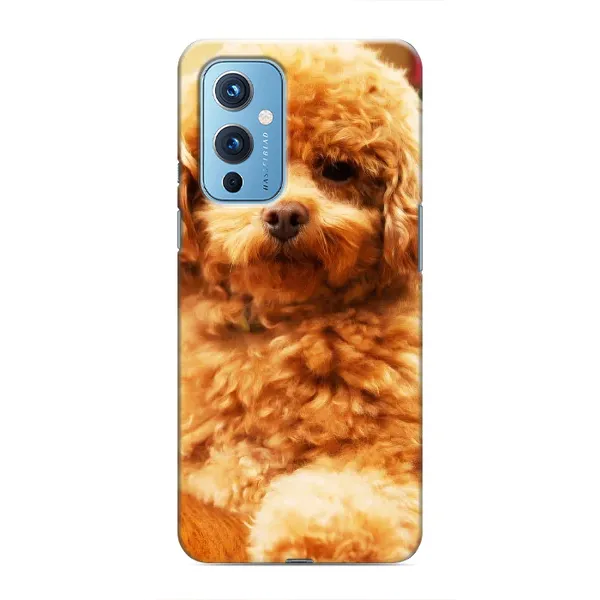 Чехол с принтом «Щенок Бишон» для OnePlus 9 Чехол с принтом «Щенок Бишон» для OnePlus 9