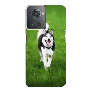 Чехол с Хаски для OnePlus ACE (10R) - (AlphaPrint) (Радостный Хаски)