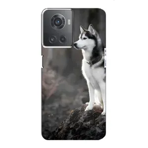 Чехол с Хаски для OnePlus ACE (10R) - (AlphaPrint) (Верный пес)