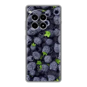 Чохли з фруктами для OnePlus Ace 3 Pro (VPrint) (Ожина)