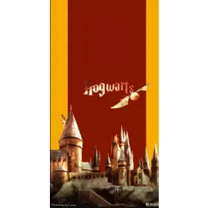 Чохли з Гаррі Поттером для OnePlus Nord 10 5G (AlphaPrint) (Hogwarts)