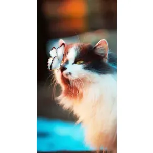 Чохол на ВанПлас Норд 10 (5G) з Котиками (VPrint) (Котик з метеликом)