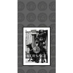 Чехлы VERSACE для ВанПлас Норд 10 (5G) (PREMIUMPrint) (Версаче)