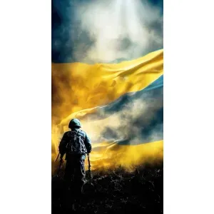 Украинские, патриотические Чехлы для ВанПлас Норд 10 (5G) (Война)