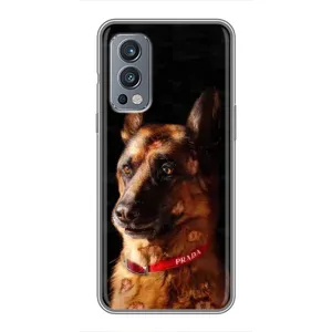 Чохли з картинкою животних OnePlus Nord 2 (Овчарка)