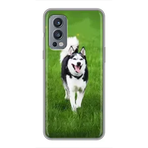 Чехол с Хаски для OnePlus Nord 2 - (AlphaPrint) (Радостный Хаски)