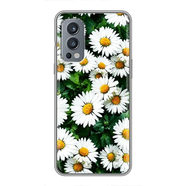 Чохол з принтом «Ромашки» для OnePlus Nord 2