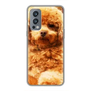 Чехлы с собаками для OnePlus Nord 2 (VPrint) (Щенок Бишон)