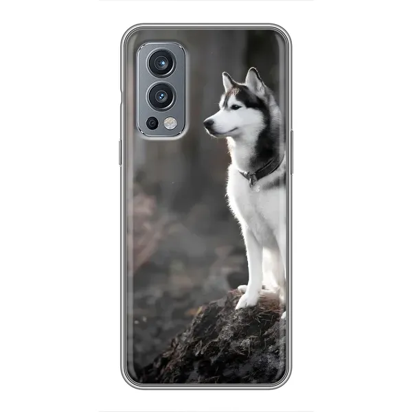 Чехол с принтом «Верный пес» для OnePlus Nord 2 Чехол с принтом «Верный пес» для OnePlus Nord 2