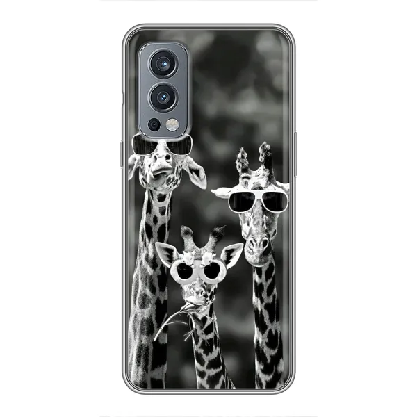 Чохол з принтом «Жирафи в окулярах» для OnePlus Nord 2 Чохол з принтом «Жирафи в окулярах» для OnePlus Nord 2