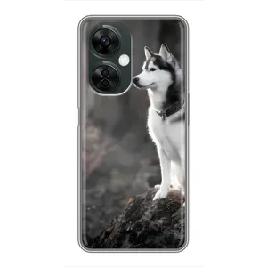Чехол с Хаски для OnePlus Nord CE 3 Lite - (AlphaPrint) (Верный пес)