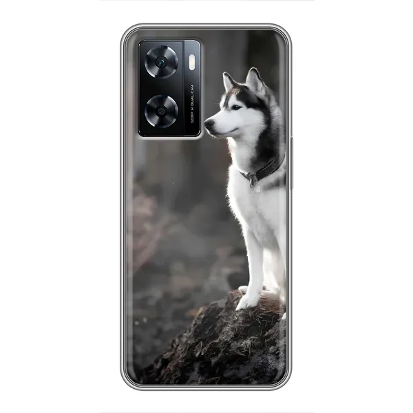 Чохол з принтом «Вірний собака» для OnePlus Nord N20 SE Чохол з принтом «Вірний собака» для OnePlus Nord N20 SE