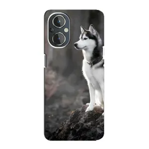 Чехол с Хаски для OnePlus Nord N20 - (AlphaPrint) (Верный пес)