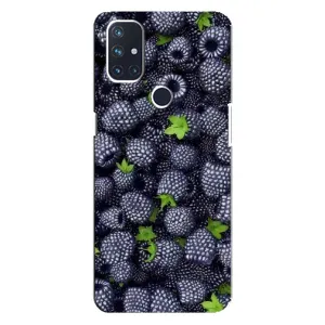 Чехлы с Фруктами для OnePlus Nord 10 5G (VPrint) (Ежевика)