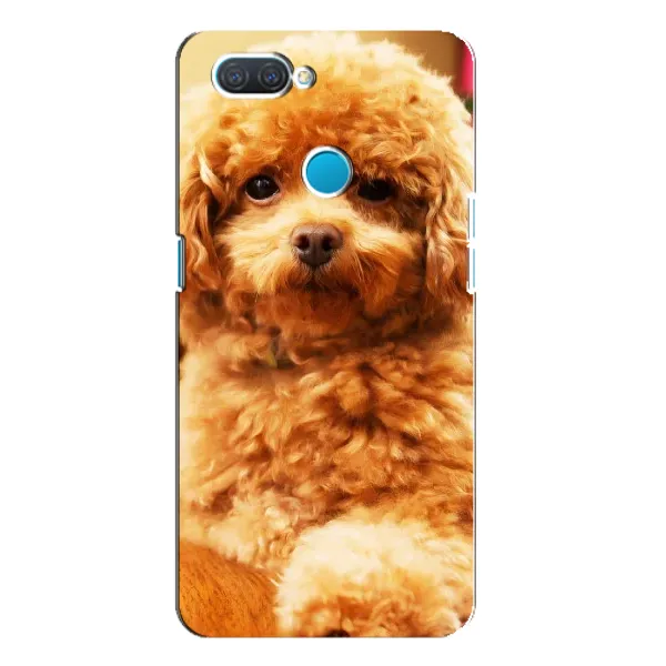 Чехол с принтом «Щенок Бишон» для OPPO A12 Чехол с принтом «Щенок Бишон» для OPPO A12