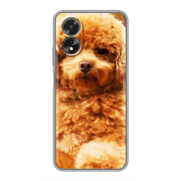 Чехол с принтом «Щенок Бишон» для OPPO A17
