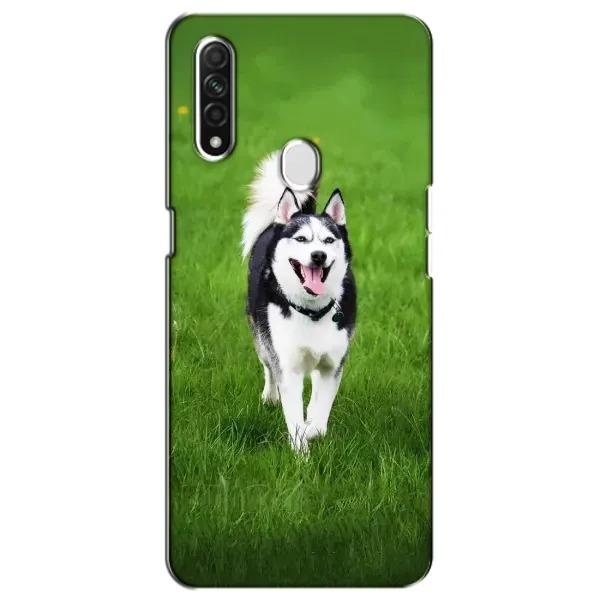 Чохол з принтом «Радісний Хаскі» для OPPO A31