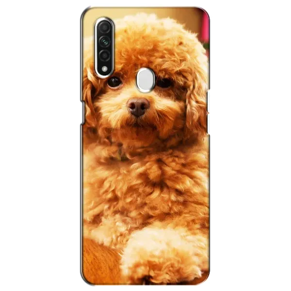 Чехол с принтом «Щенок Бишон» для OPPO A31
