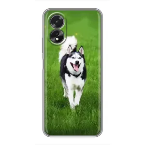 Чехол с Хаски для Oppo A38 - (AlphaPrint) (Радостный Хаски)