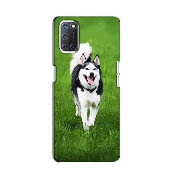 Чехол с принтом «Радостный Хаски» для OPPO A52 Чехол с принтом «Радостный Хаски» для OPPO A52