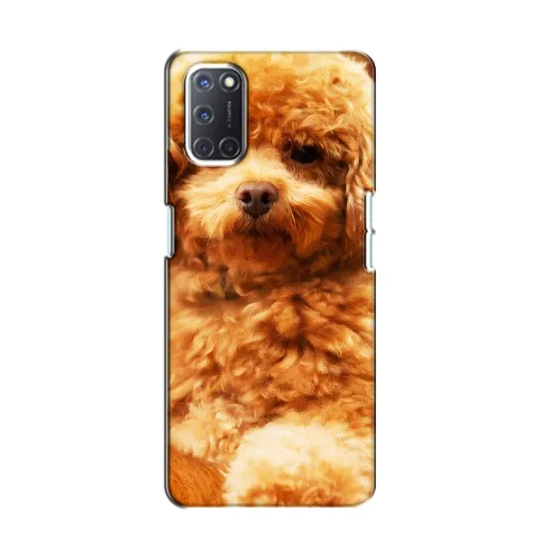 Чехол с принтом «Щенок Бишон» для OPPO A52